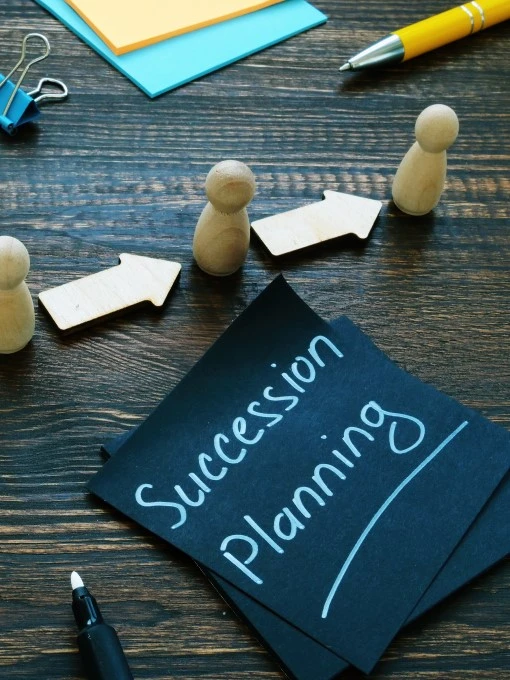 Abojani Succession Planning Insights