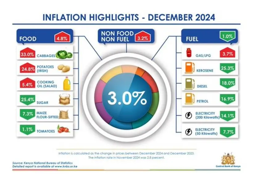 The December 2024 inflation rate came in at 3.0 percent, showing a slight increase from the 2.8 percent recorded in November 2024