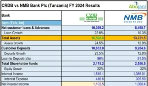 CRDB and NMB Shine in FY 2024 with Strong Profit Growth  